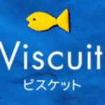 Visucuit